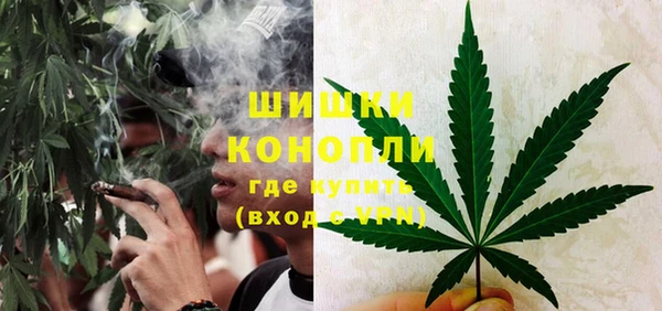 крисы Абдулино
